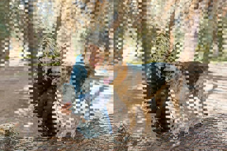 Dog Licensing Blitz Results in Hundreds of Fines for Unregistered Pets